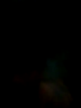 RashLever2 – webcam-show