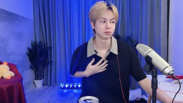 Show Webcam de hafabva