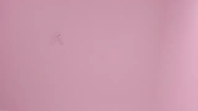 Czat XXX na żywo – Sabrina_Rosse__