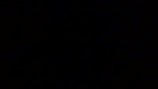 Show webcam de OvermuchMaid