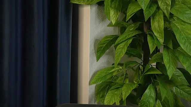 دردشة SelmaHjort الجنسية المباشرة