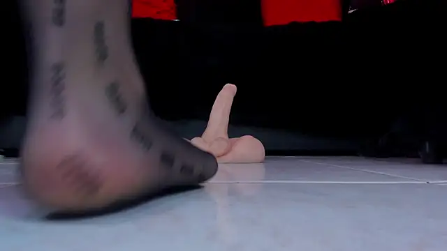 Show Webcam de DemetraStone