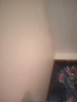 C4RL170S webcam show