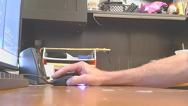 Pertunjukan Kamera Web spoiler_3