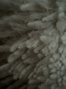 Jackoff2345 웹캠 쇼