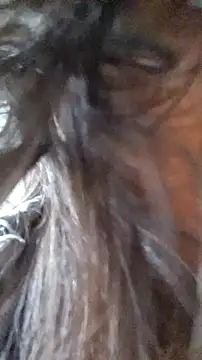 rposhta1991 即時 XXX 聊天