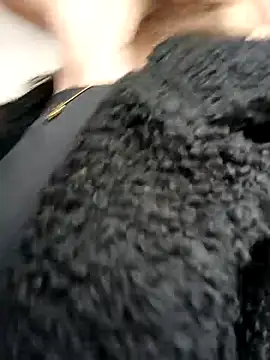 Chatroom XXX en direct de _Isabella-7