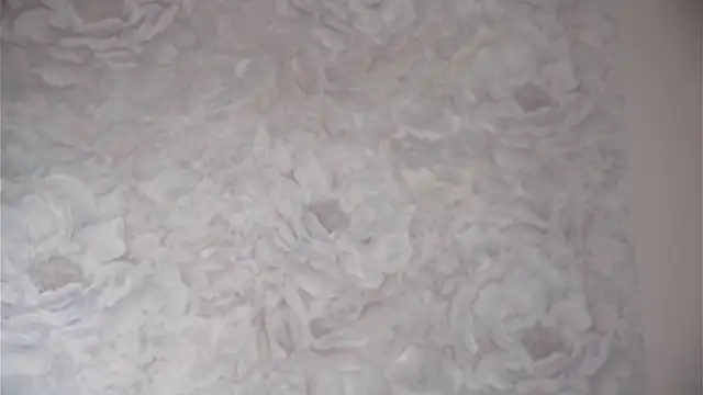 Živý XXX chat SunnivaCovil