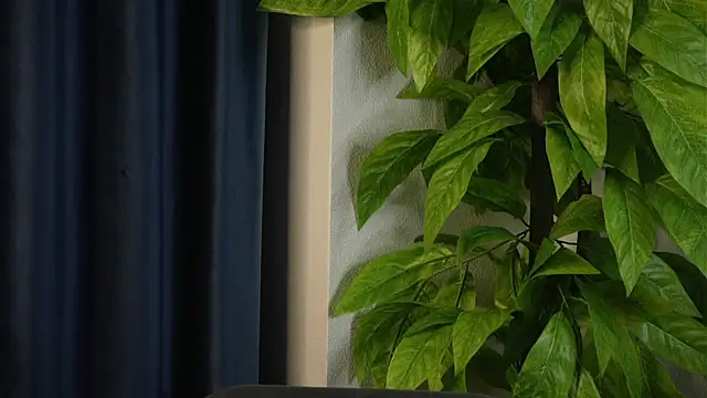 SelmaHjort Adlı Modelin Canlı XXX Sohbeti