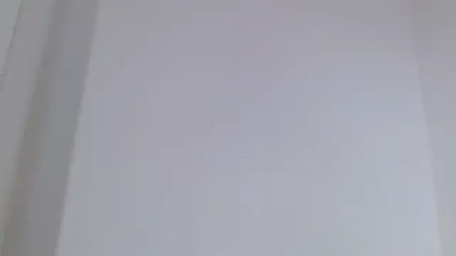 isabel_24_gil: онлайн-секс-чат