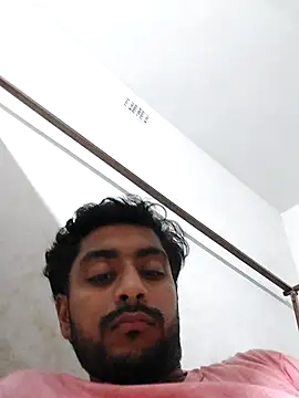 Show de webcam de lm12334