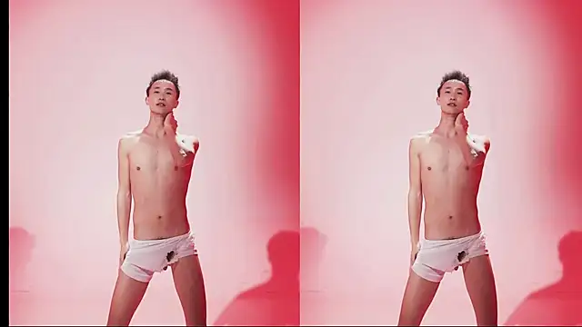 YLBOY-666n Webbikameraesitys