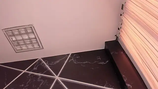 AerumChae 网络视讯表演