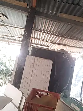 hoteder 网络视讯表演