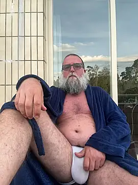 Noitelivren Webbikameraesitys