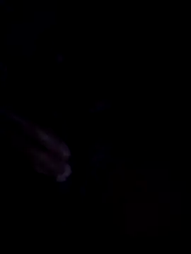 vicomake Show Webcam