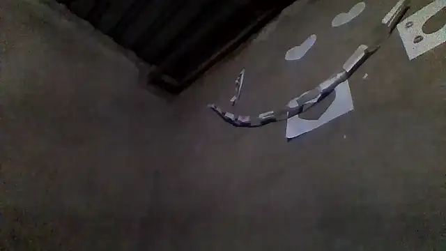 longdickson12345 Webcam Show