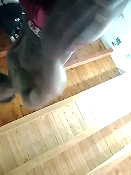 Pokazy przed kamerką – _yefez