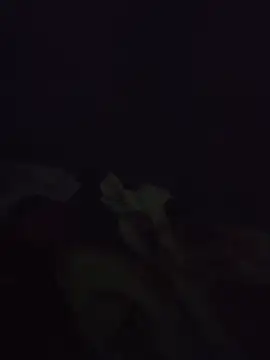 Webkamerová show TamilAparna78