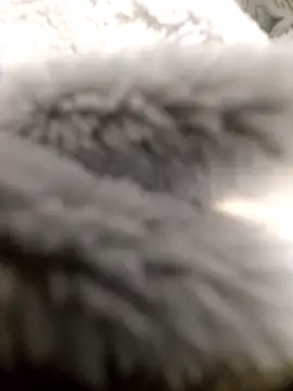 Show de Joseffargxxx na webcam