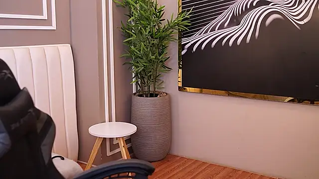 Show modela Ethan_occonor na web-kameri