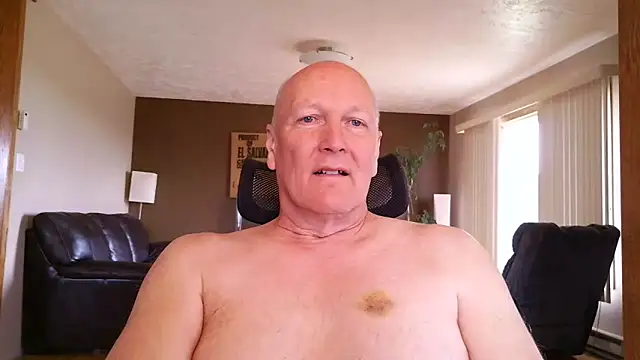 BasicAnt: διαδικτυακό σόου στην κάμερα