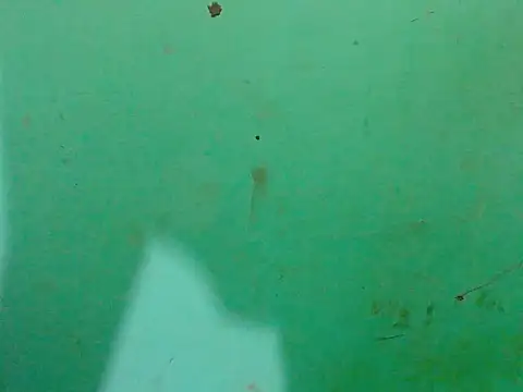 Webkamerová show safado890p