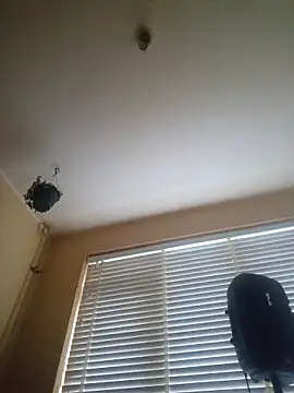 piercingpik – Live XXX-chat