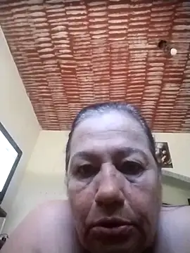 catdool লাইভ XXX চ্যাট