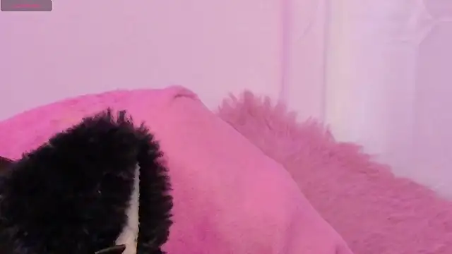 Sachi_Meow Chat XXX in diretta