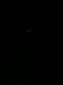 Pokazy przed kamerką – HouseOfHans