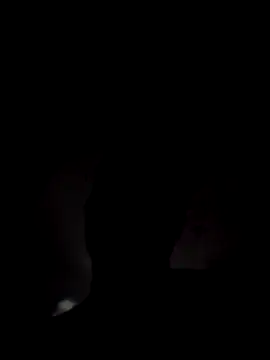 Curious9884: вебкам-шоу