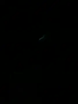 Show Webcam de HouseOfHans