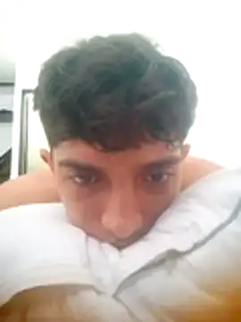 Show webcam de Noscay