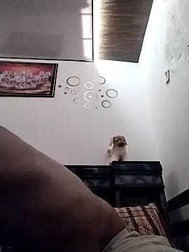 Chat XXX en directo de Wild_Vassu