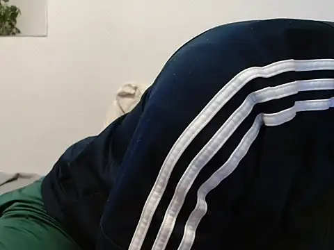 OskarBrenon Webbikameraesitys