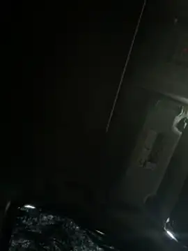 HouseOfHans' Webcam Show