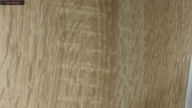 NoFace_Model 现场XXX聊天