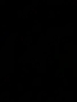 Онлайн чат XXX HouseOfHans