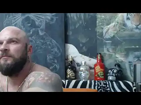 عرض كام viking_30