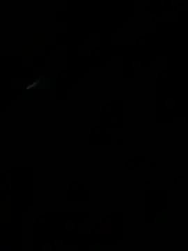 HouseOfHans 网络视讯表演