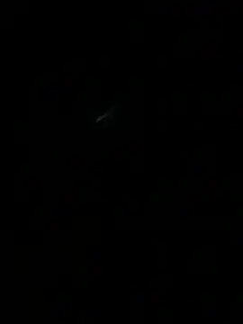 Show webcam de HouseOfHans