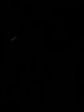 HouseOfHans Live XXX-chat