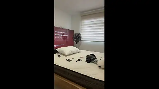 Massimo_Rinaldin Webbikameraesitys