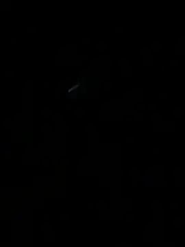 HouseOfHans' Live XXX Chat