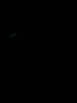 HouseOfHans 라이브 XXX 채팅