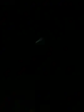 HouseOfHans' Webcam Show