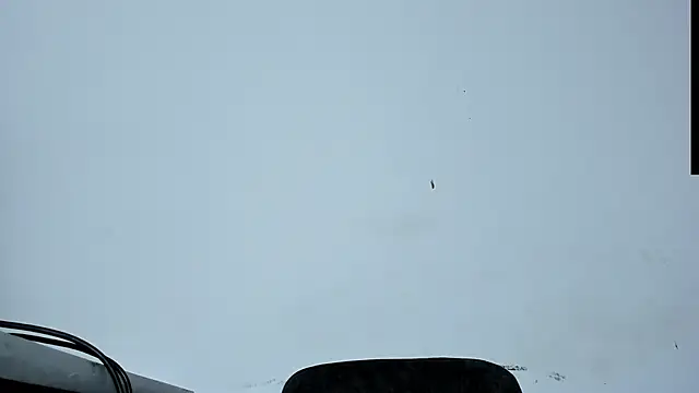 joe999cooper 即時 XXX 聊天