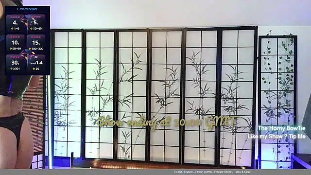 thehornybowtie Webcam-Show