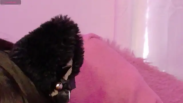 Sachi_Meow Live XXX-Chat